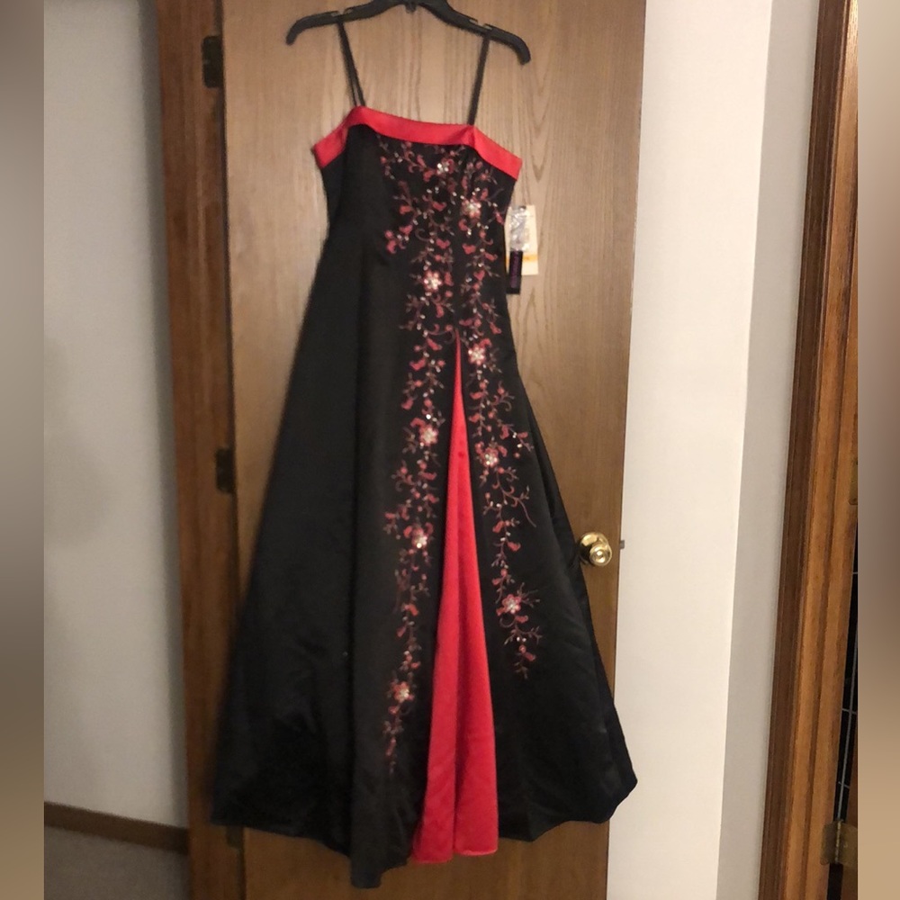 Homecoming/Prom/Special Occasion Dress